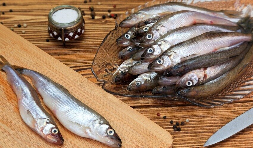 Фото с сайта kablys.delfi.lt