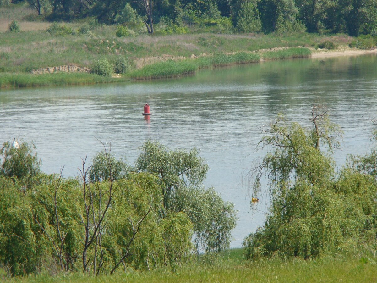 Красавец ДОН.