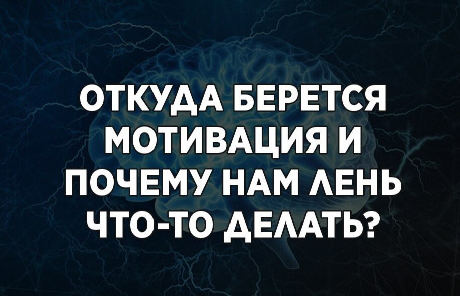 ​Откуда берется мотивация и почему нам лень что-то делать?