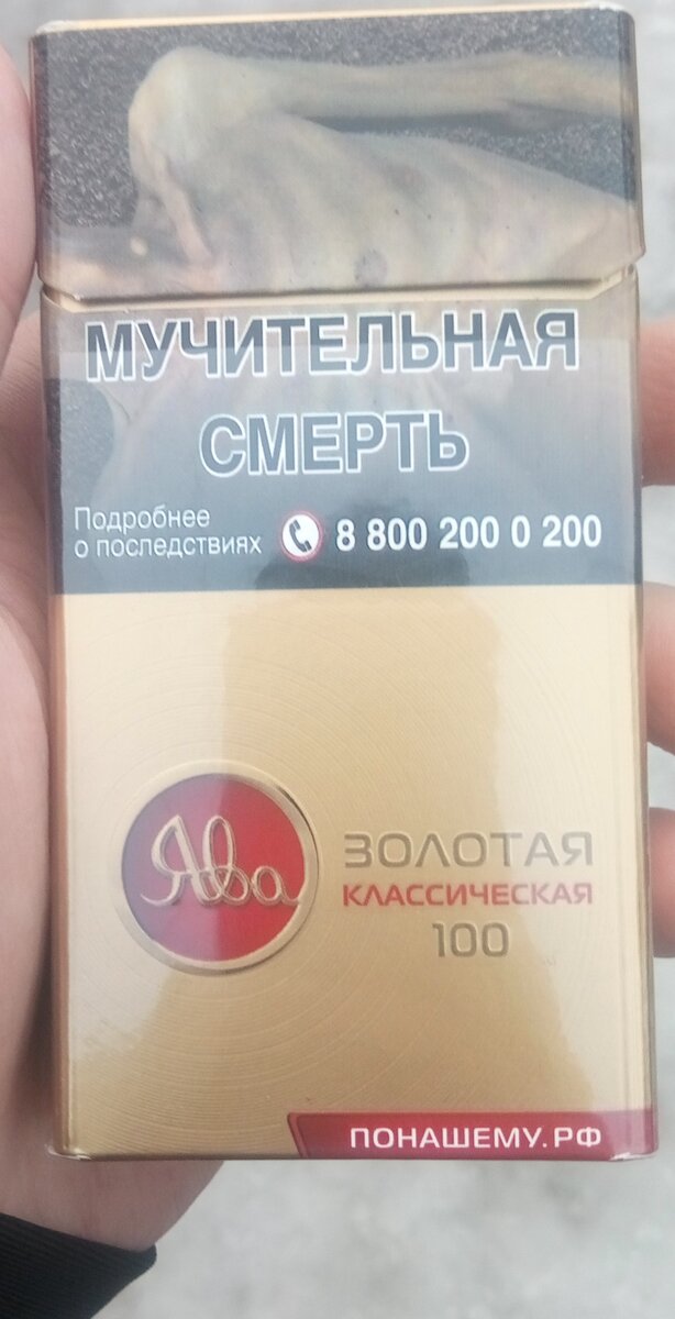 Золотая ява 100 фото