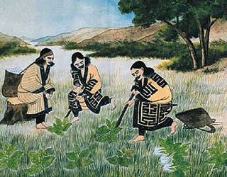 Нет, это не усатые женщины — это замужние женщины