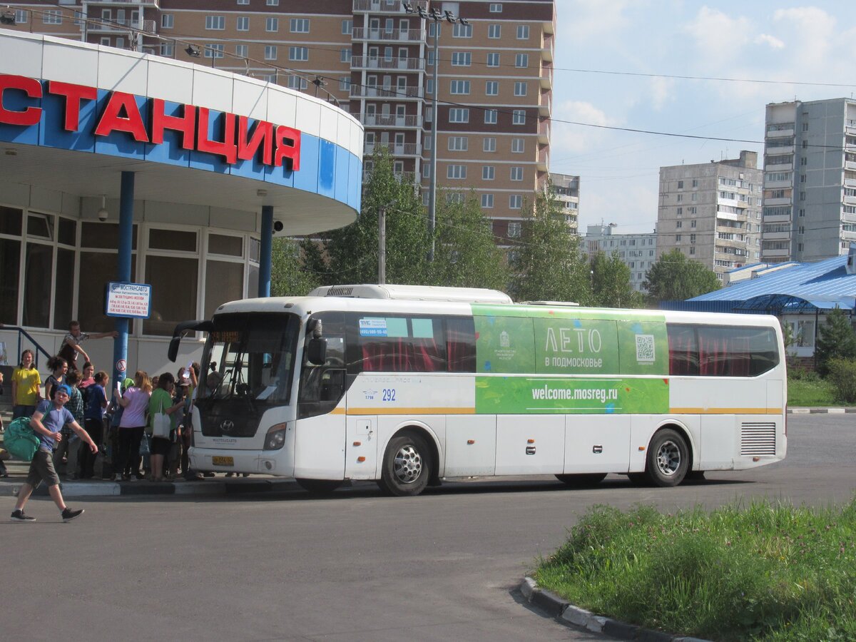 Москва пущино автобус