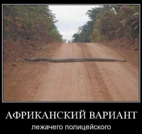 Как тут не притормозишь?...