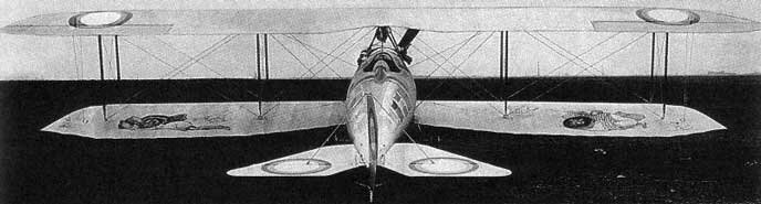 Анатра "Анадис", подготовленный к перелёту по маршруту Одесса - Салоники - Рим - Марсель - Париж. На крыльях самолета живописно изображены полуобнаженные дамы, на фюзеляже - двуглавый орел, несущий флаги государств Антанты. 