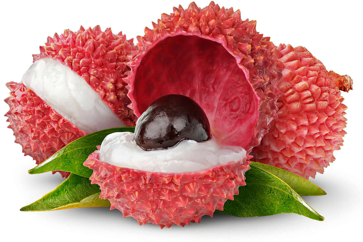 Источник фото: webdunia.com