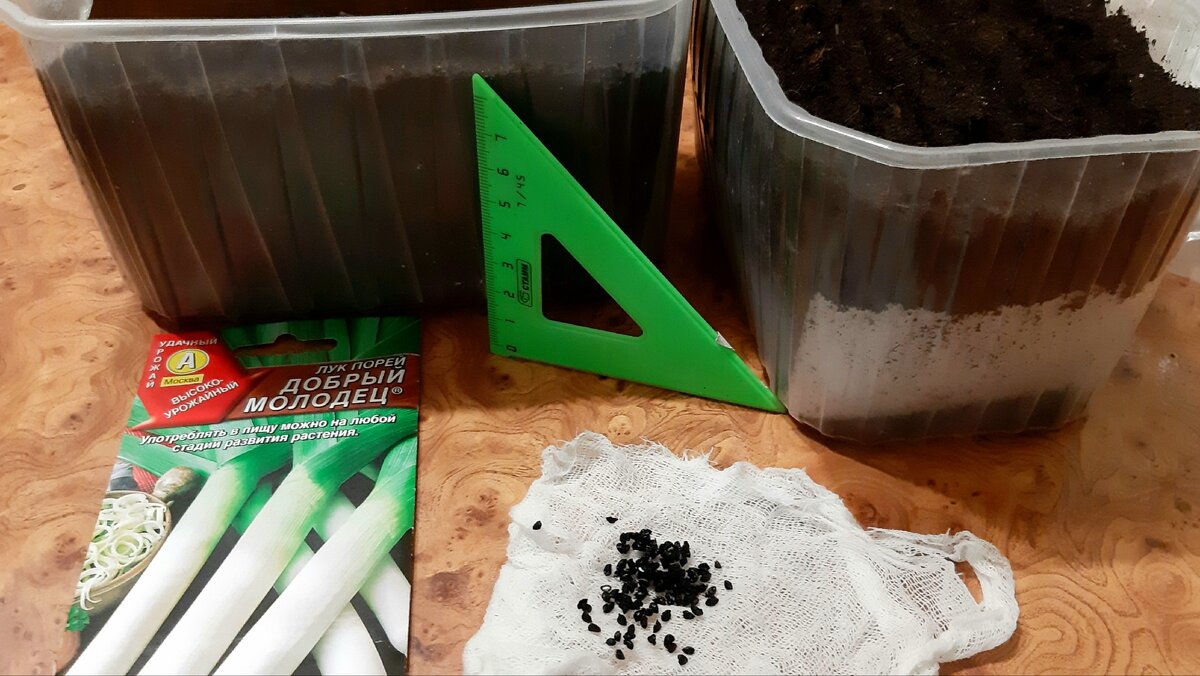 Готовим грунт высотой 8 см, семена. Фото автора