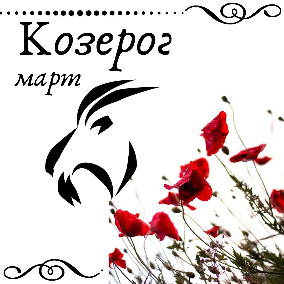 любовный гороскоп водолей. рыбы знак зодиака характеристика.