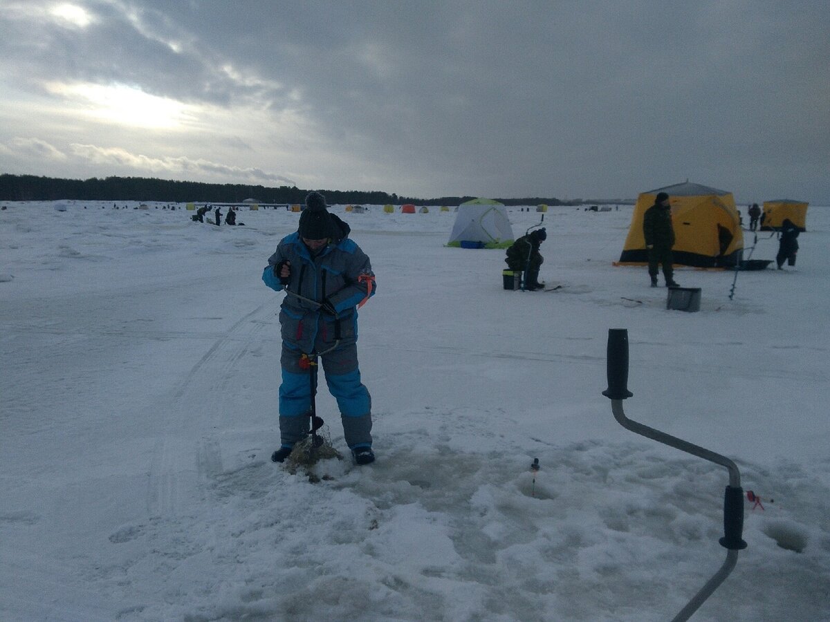 В процессе)
