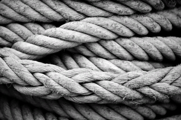 С возрастом изменяется не только количество, но и качество коллагеновых волокон. 