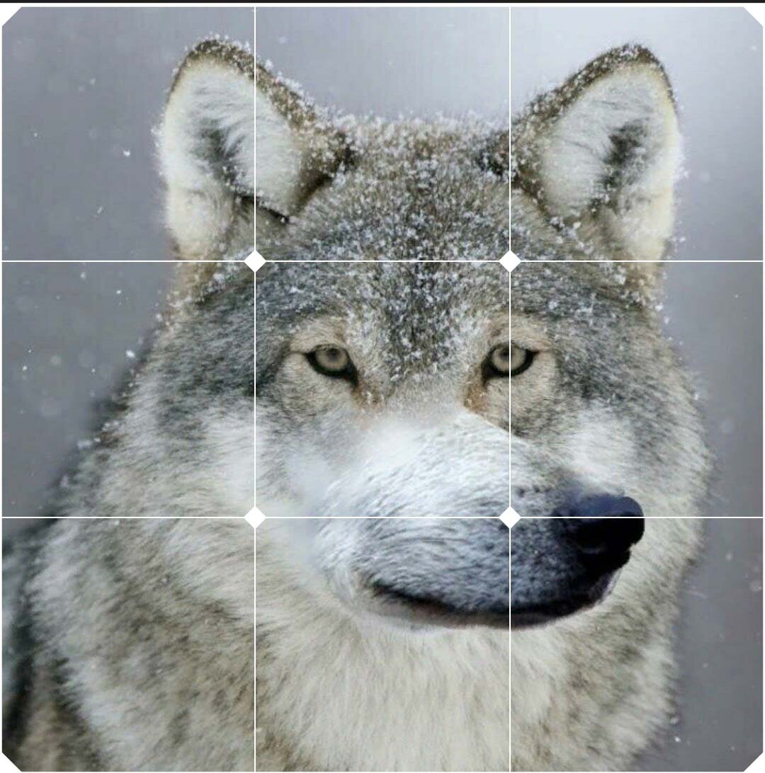 Возможно, что это тот самый волчара с лапищами.