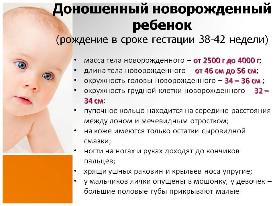 Как выглядит доношенный ребенок