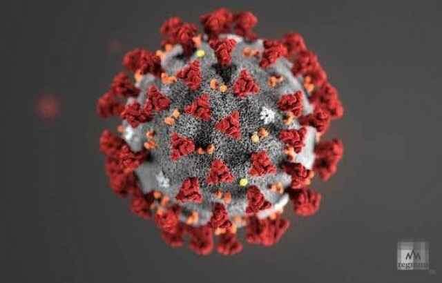 На данный момент в регион поступило 5 тест-систем на выявление коронавируса. С их помощью проверят 550 пациентов.