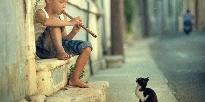 Любовь к миру и забота о нём.