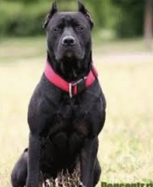 Ну как я выгляжу?) 😋