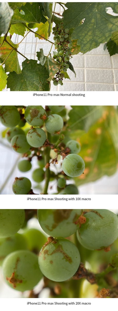 Фото взято с сайта Алиэкспресс.