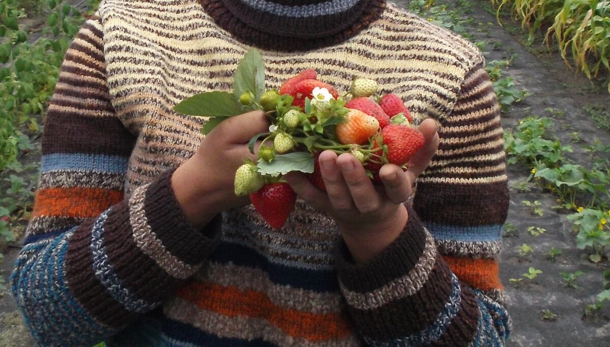 Домохозяйка с клубникой