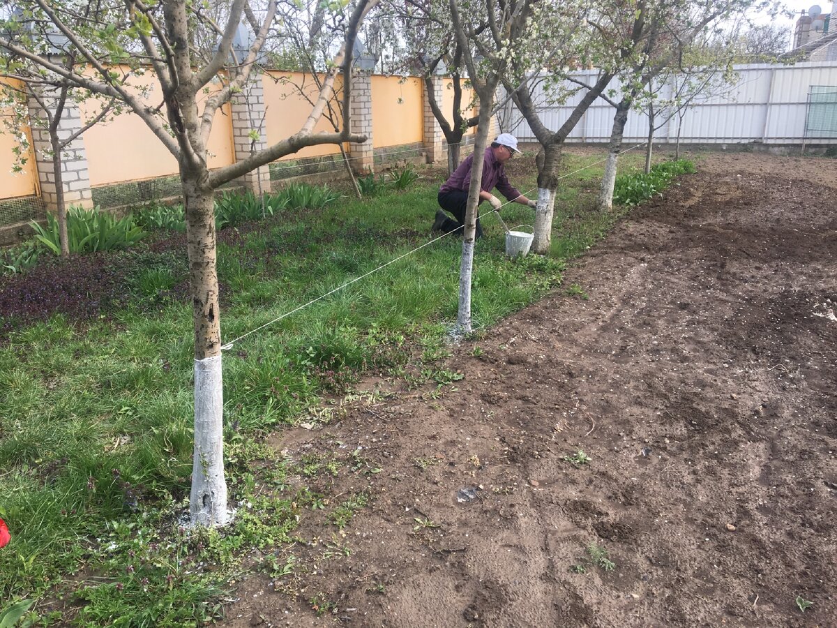 Привязывает тюковую верёвку или  шпагат