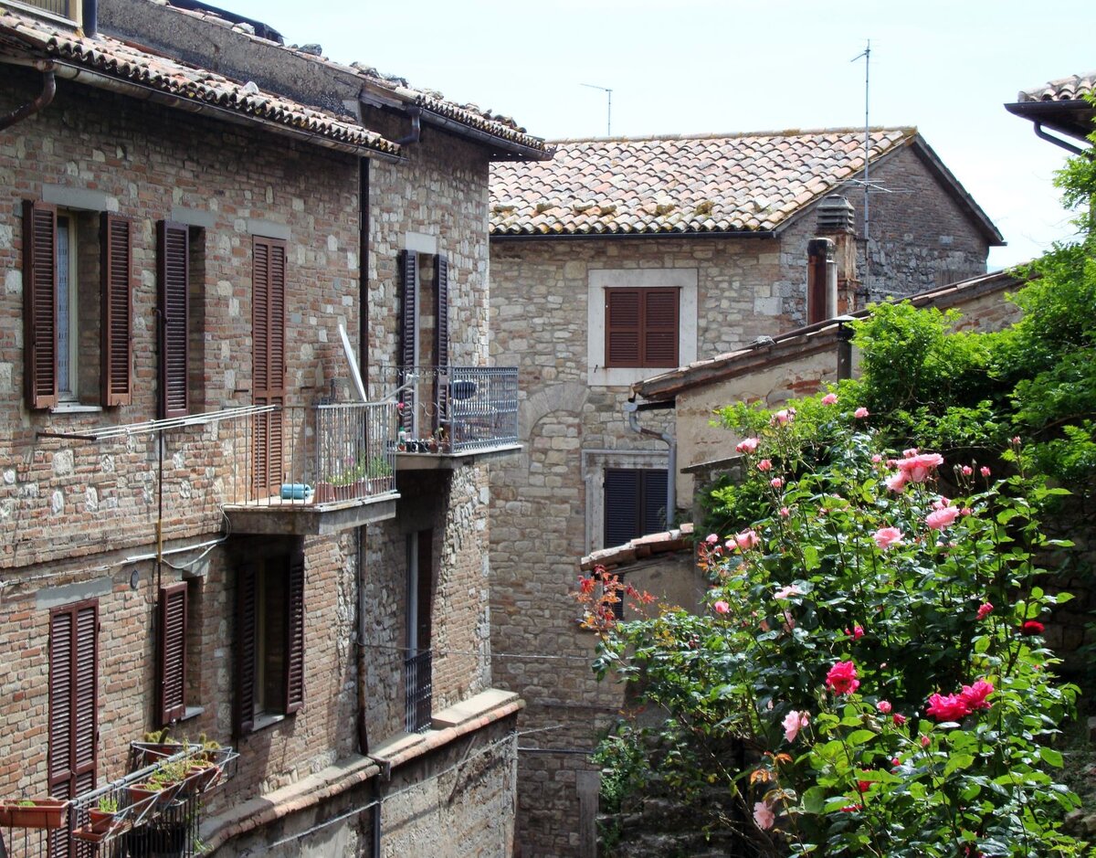 
Фото: Анна Черткова