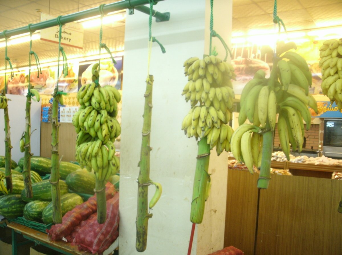 Магазин в Салале