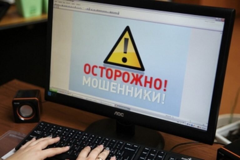фото из свободных источников