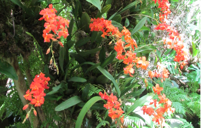 Фото автора, сделано в Сингапуре, март 2020