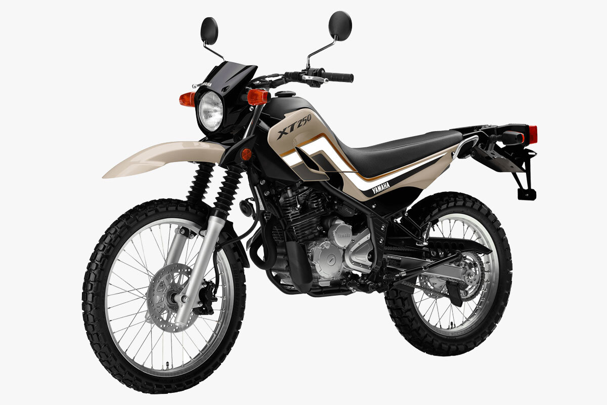 250 dual sport sale
