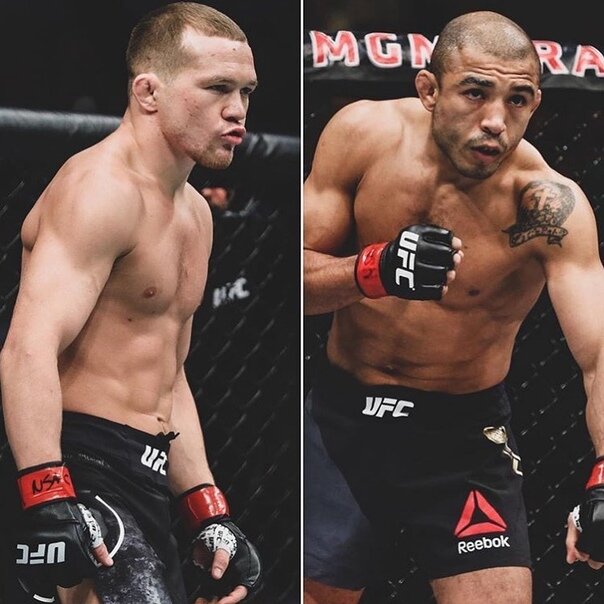 Пётр Ян и Жозе Альдо