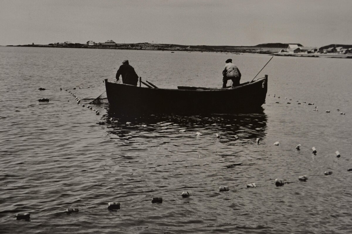 Проверка невода. Фото И.А. Мазова, 1970 г., из собрания Музея истории, культуры и быта терских поморов посёлка Умба.
