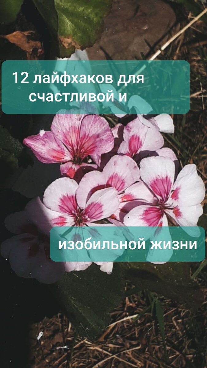 Жить в изобилии - это возможно