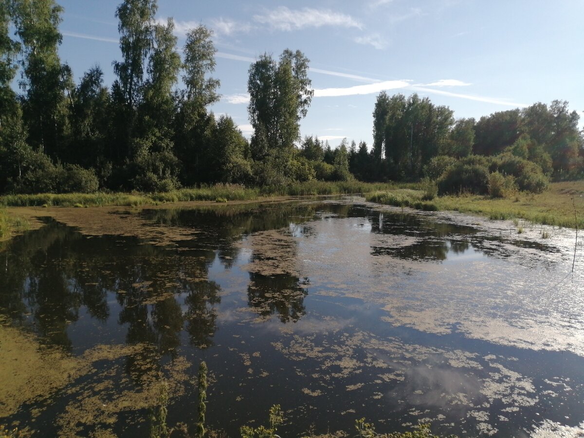Растянуты сети что ли