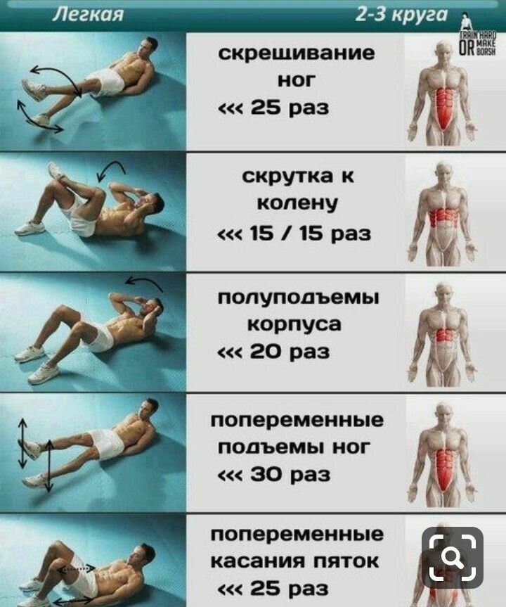 Тренировка push pull legs - принципы, эффективность, планы тренировок