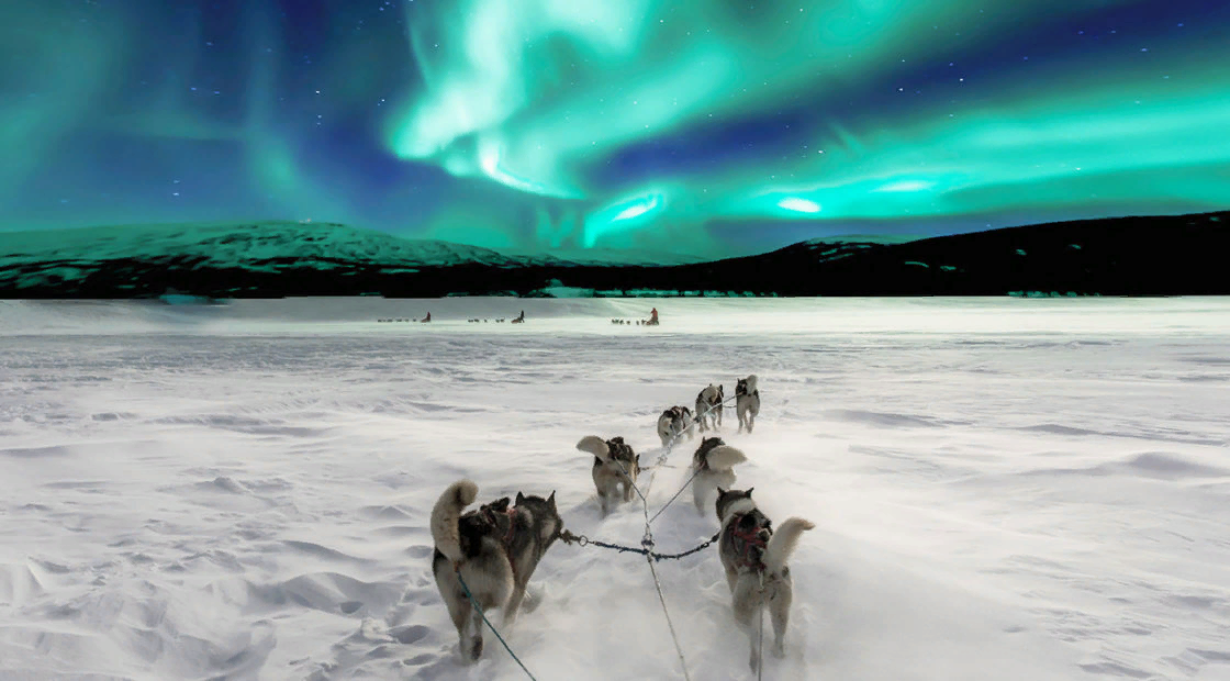 фото из открытого источника