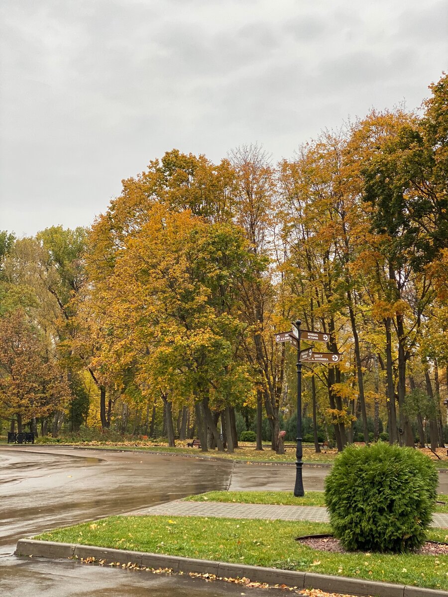 Фото автора — осенний центральный  парк Тулы