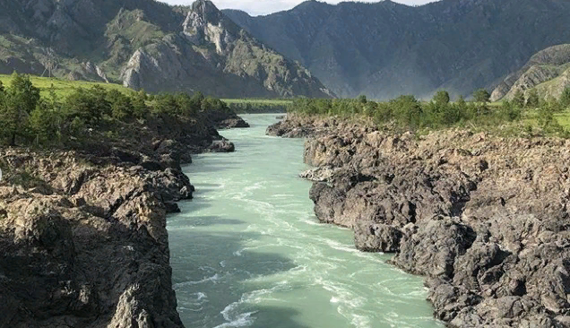  Ставьте палец вверх и получайте эксклюзивный контент с Алтая в ленту. Тут нет политики 