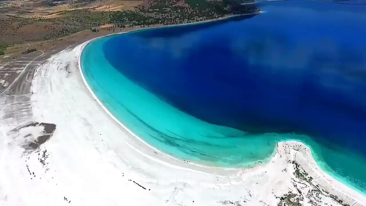 фотография из открытых источников