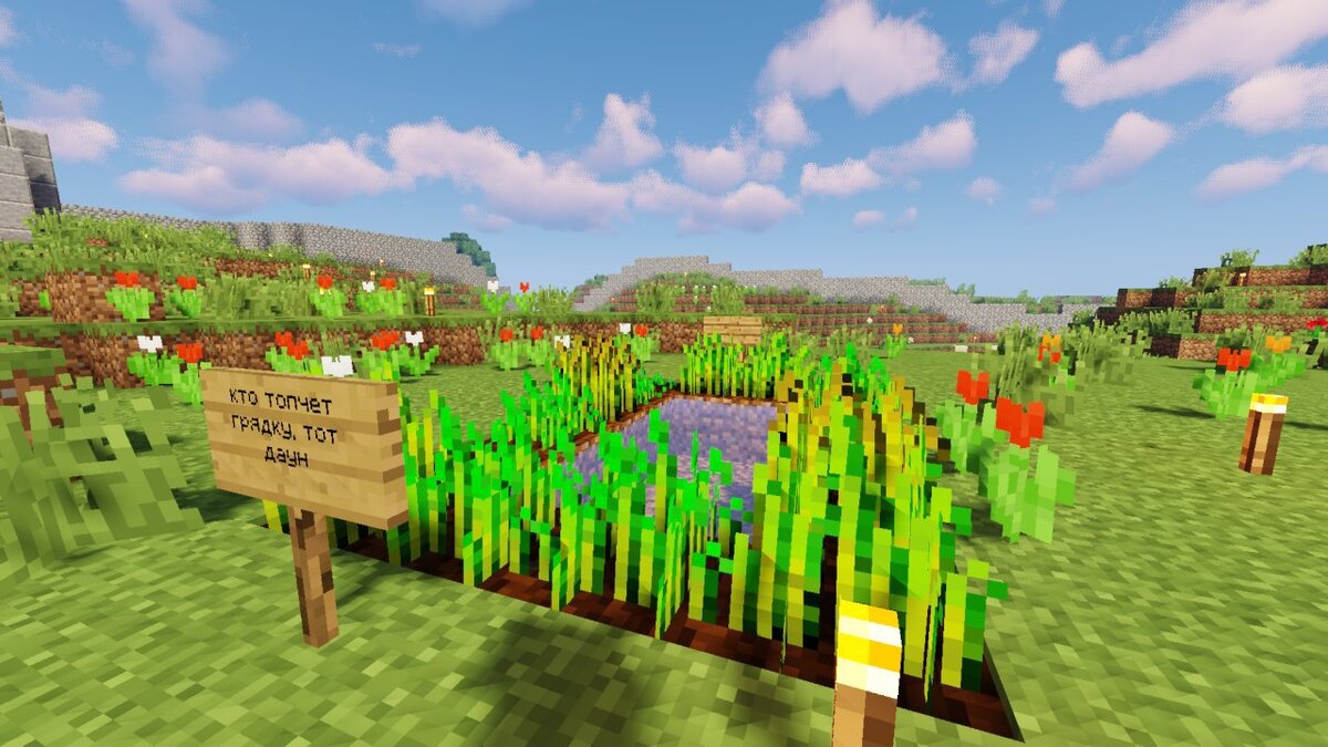 Minecraft 30