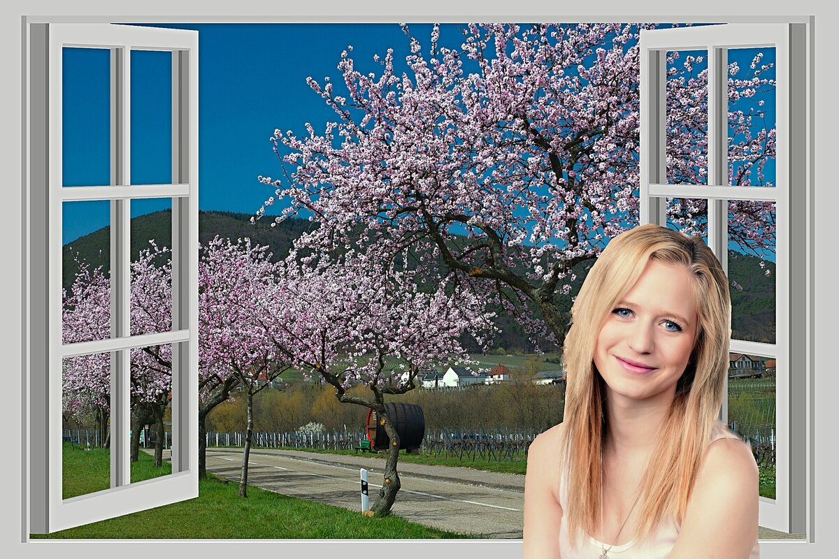 Изображение с сайта Pixabay