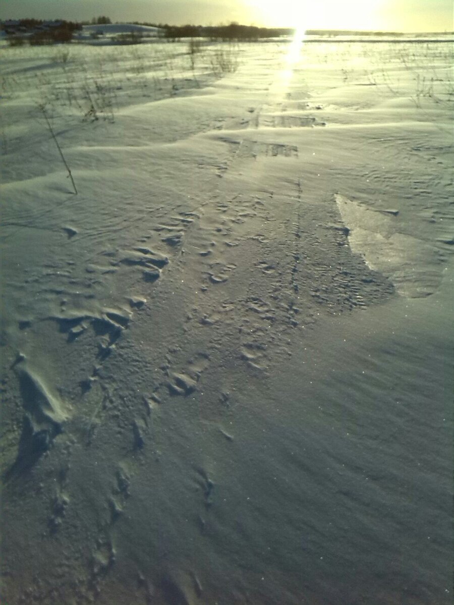 Был сильный ветер и местами дорогу переметало. 