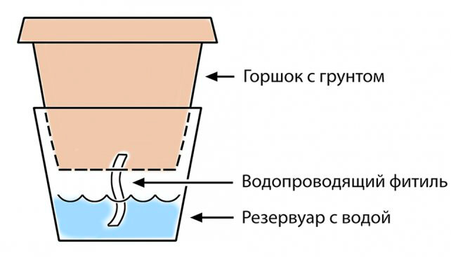 резервуал довольно большой. В мои горшки около литра помещается.