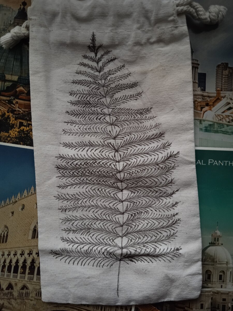 Обожаю растительные мотивы, а эскиз папоротника оказалось легко нарисовать (хотя знакомые говорят, что получилась ёлка, вот незадача)