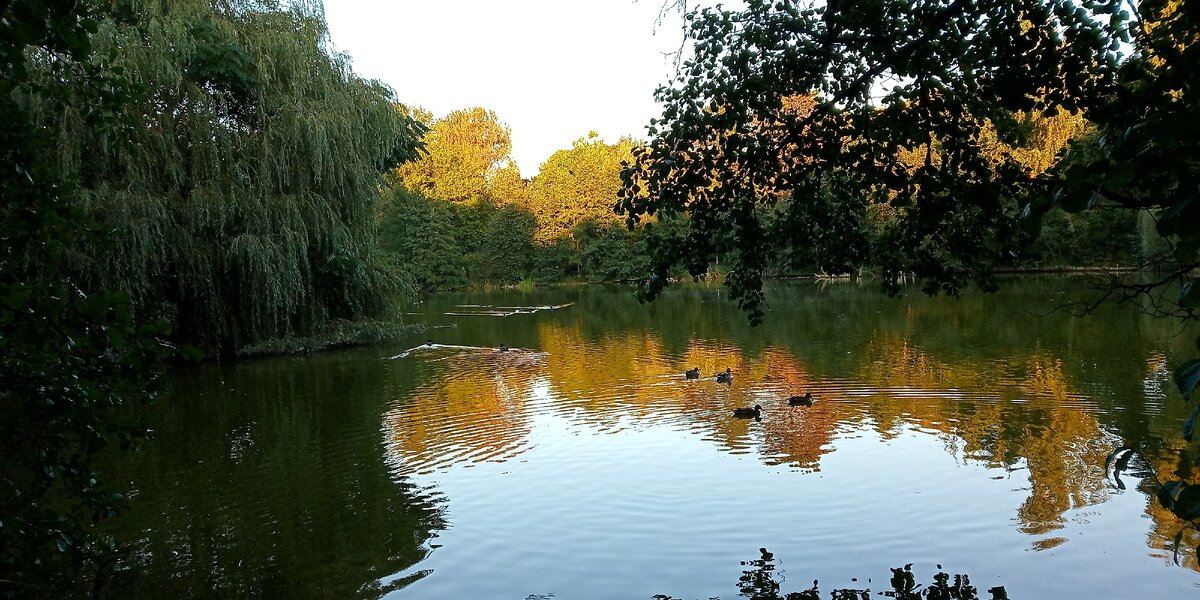 Большой пруд