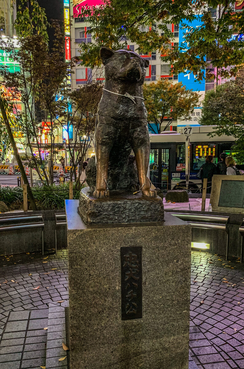 Хатико префектура токио специальный район сибуя фото people waiting at Hachiko dog statue Shibuya kosaten crossing Shibuya ward Tokyo