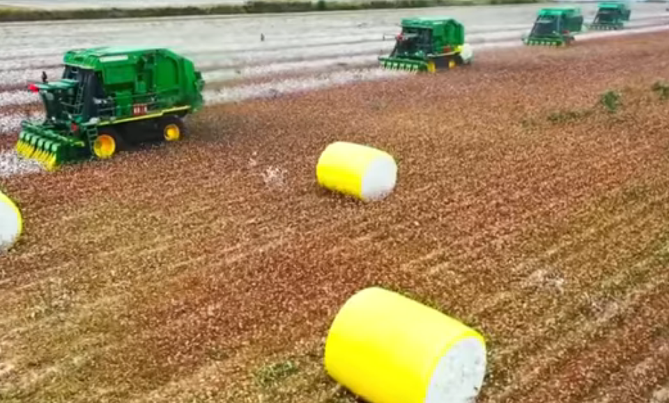Не похож сбор хлопка на тяжелый рабский труд. В развитых странах урожай тоже комбайнами собирают. Скриншот видео из открытых источников