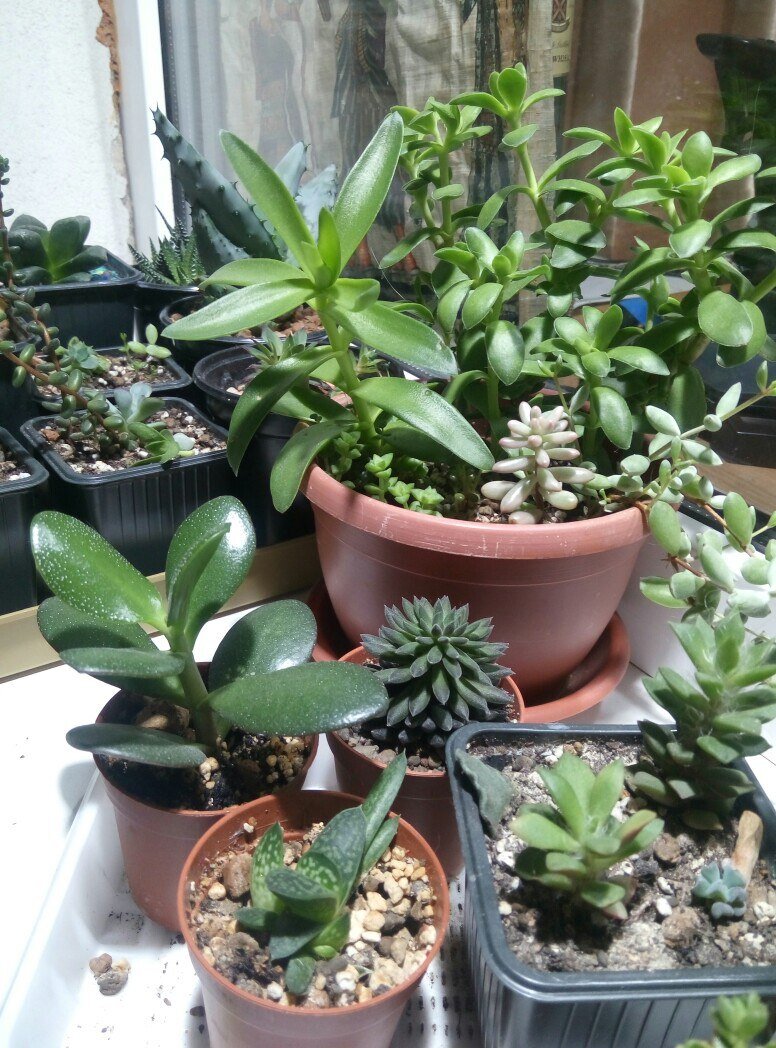 на балконе конец 2017