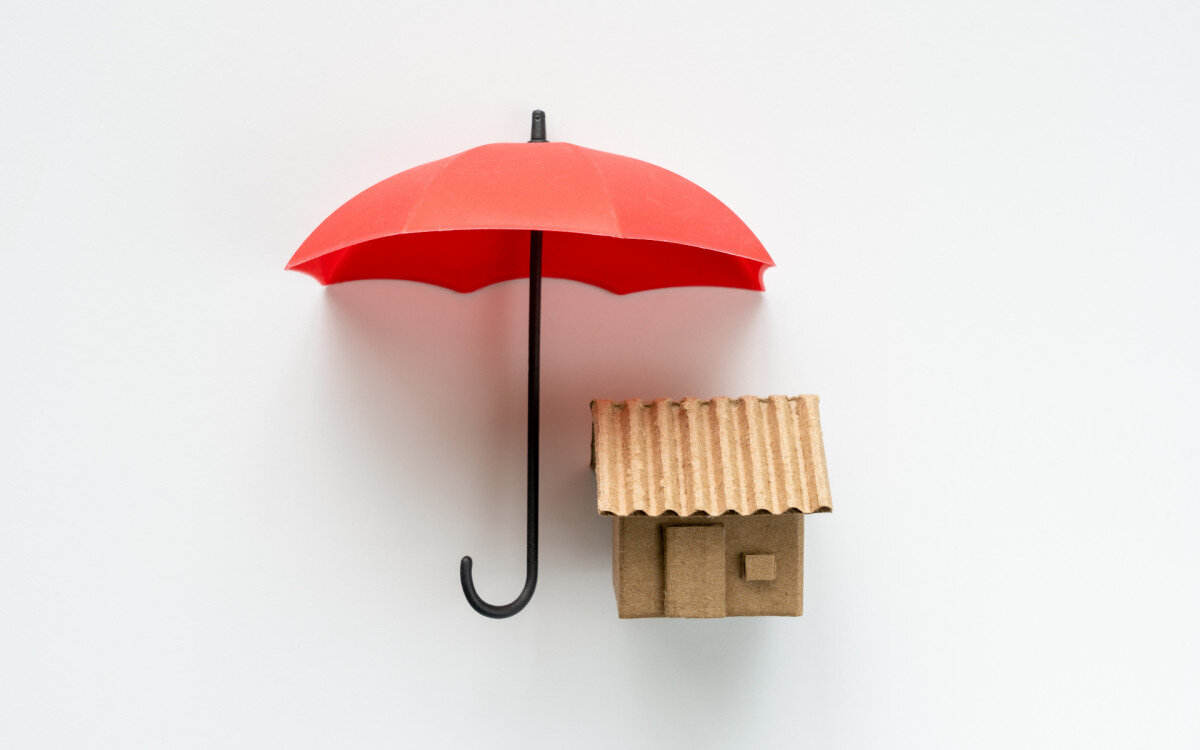 Фото: Kenishirotie/shutterstock 