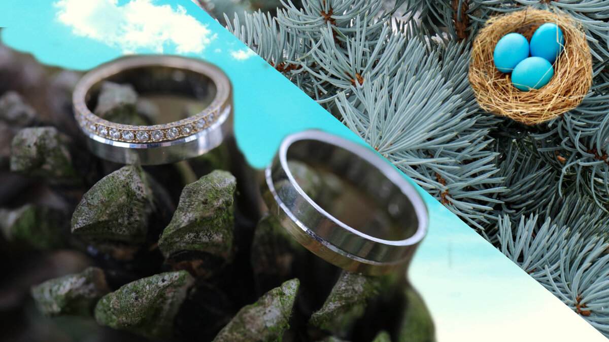 Подписывайтесь на мой канал и поставьте лайк этой статье