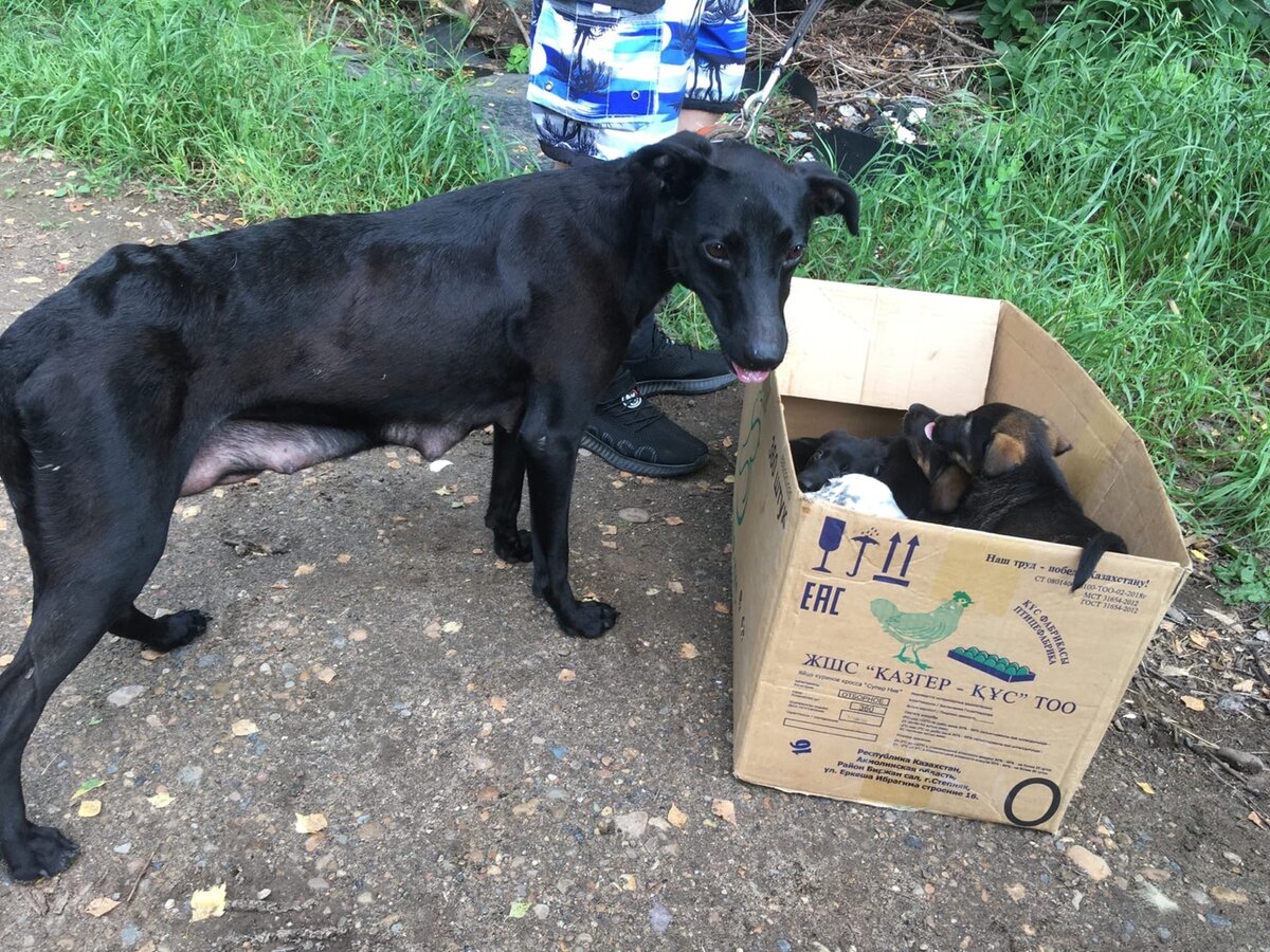 фото с предприятия.