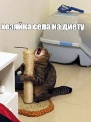 Не подобраться уж к омлету.