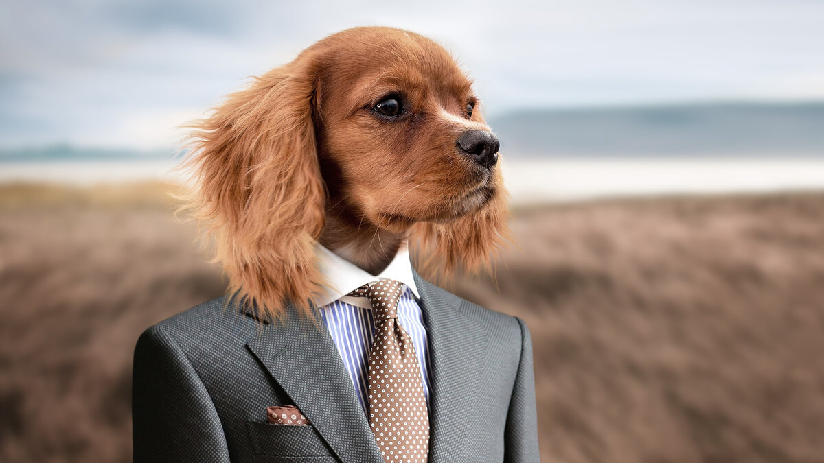 Можно дать разумный совет, но нельзя научить разумному поведению.