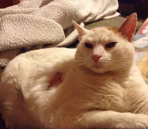 Вознамерительное мочеиспускание